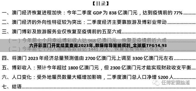 六开彩澳门开奖结果查询2023年,数据指导策略规划_全球版TFG14.93