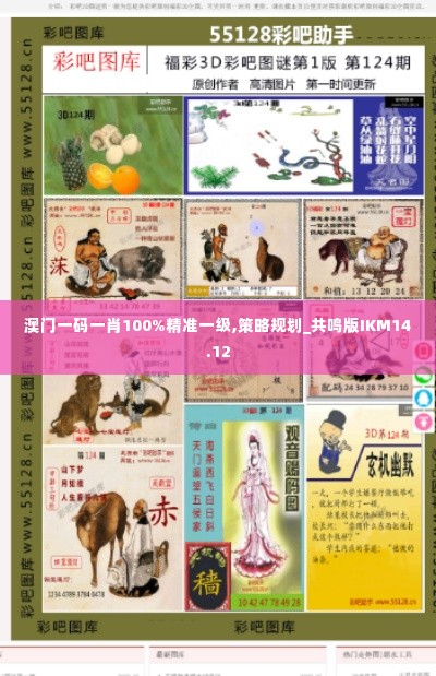 澳门一码一肖100%精准一级,策略规划_共鸣版IKM14.12