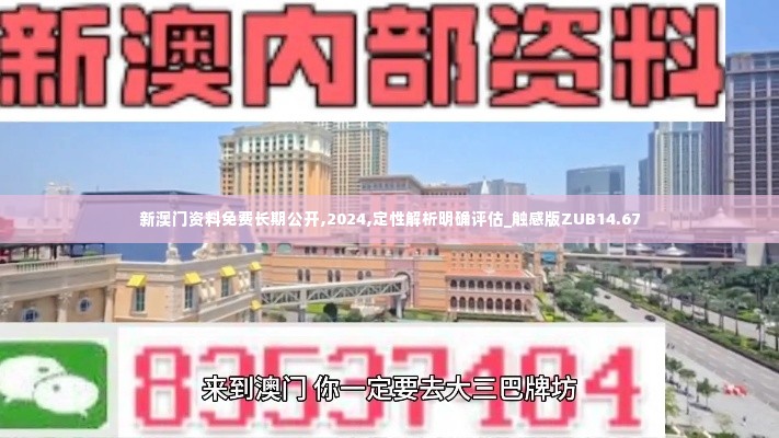 新澳门资料免费长期公开,2024,定性解析明确评估_触感版ZUB14.67