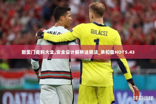 新奥门资料大全,安全设计解析说明法_亲和版HOT5.43