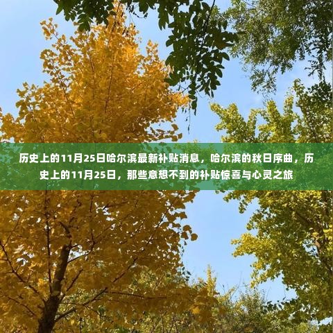 哈尔滨秋日序曲,历史上的11月25日补贴惊喜与心灵之旅揭秘