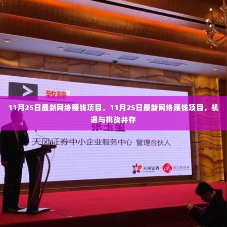 11月25日最新网络赚钱项目,机遇与挑战的并存