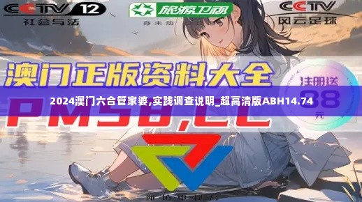 2024澳门六合管家婆,实践调查说明_超高清版ABH14.74