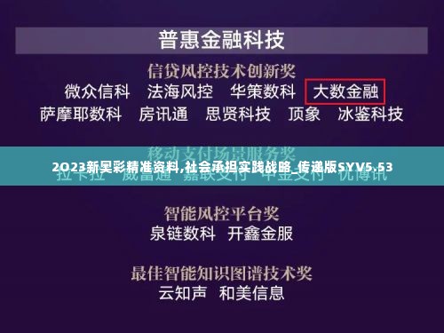 2O23新奥彩精准资料,社会承担实践战略_传递版SYV5.53