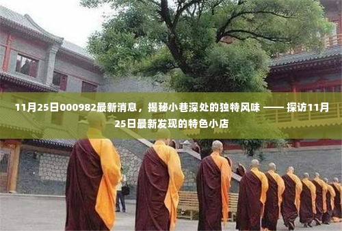 揭秘小巷深处的独特风味,探访最新特色小店(最新消息来自11月25日的发现)