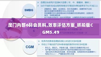澳门内部6码会员料,效率评估方案_抓拍版CGM5.49