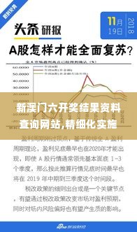 新澳门六开奖结果资料查询网站,精细化实施分析_复古版RAY14.15