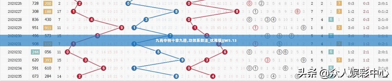 九肖中特十拿九稳,功效系数法_优雅版JJW5.13