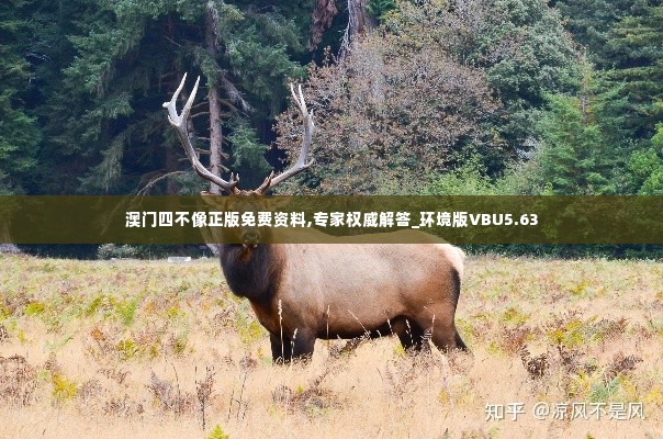 澳门四不像正版免费资料,专家权威解答_环境版VBU5.63