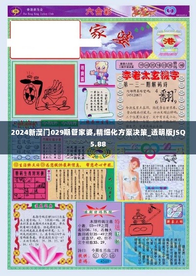 2024新澳门029期管家婆,精细化方案决策_透明版JSQ5.88