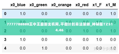 7777788888王中王最新玄机网,平衡计划息法策略_神秘版TZS14.46