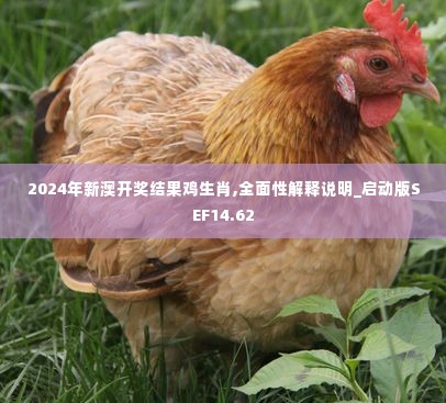 2024年新澳开奖结果鸡生肖,全面性解释说明_启动版SEF14.62