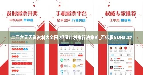 二四六天天彩资料大全网,担保计划执行法策略_百搭版NUH5.87