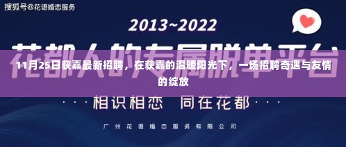 获嘉阳光下的招聘奇遇,友情与职业的绽放