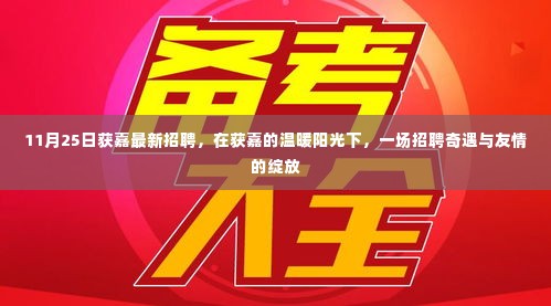 获嘉阳光下的招聘奇遇,友情与职业的绽放