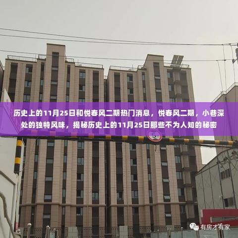 揭秘历史上的11月25日,悦春风二期独特风情与不为人知的秘密
