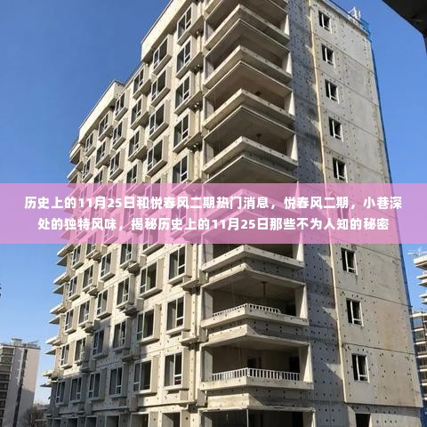揭秘历史上的11月25日,悦春风二期独特风情与不为人知的秘密