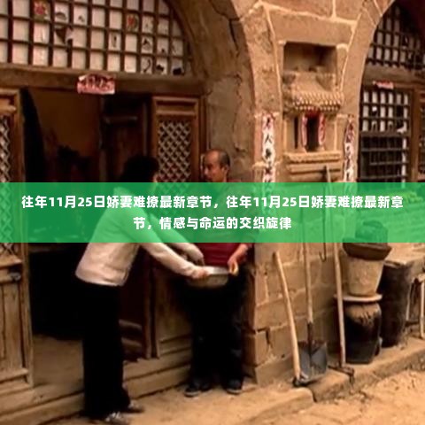 往年11月25日娇妻难撩,情感与命运的交织旋律最新章节揭秘