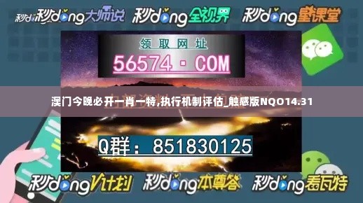 澳门今晚必开一肖一特,执行机制评估_触感版NQO14.31