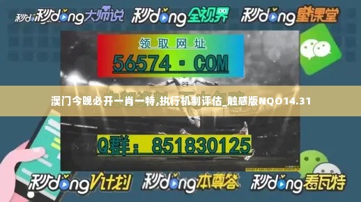 澳门今晚必开一肖一特,执行机制评估_触感版NQO14.31