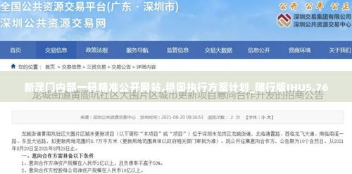 新澳门内部一码精准公开网站,稳固执行方案计划_随行版IHU5.76