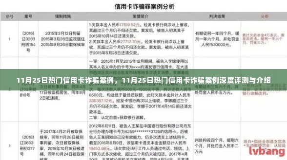11月25日信用卡诈骗案例深度解析与评测