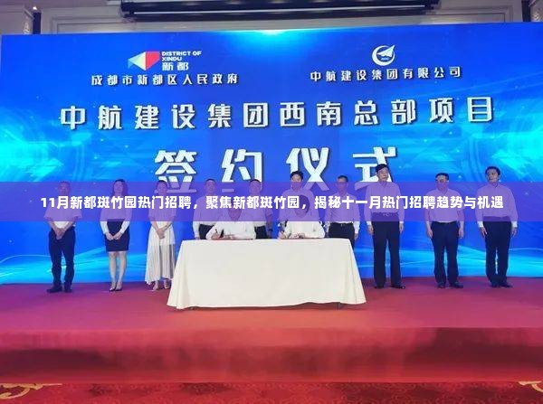 揭秘新都斑竹园十一月热门招聘趋势与机遇，聚焦职场发展之路