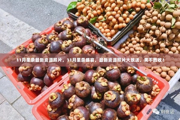 11月果条盛宴,最新资源照片大放送,美不胜收