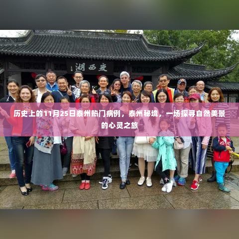 泰州秘境探寻之旅,历史上的热门病例与自然美景的心灵之旅(11月25日)