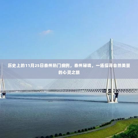 泰州秘境探寻之旅,历史上的热门病例与自然美景的心灵之旅(11月25日)