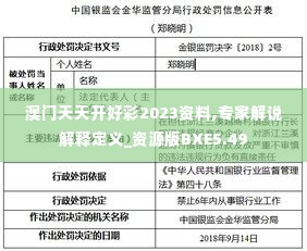 澳门天天开好彩2023资料,专家解说解释定义_资源版BXE5.49