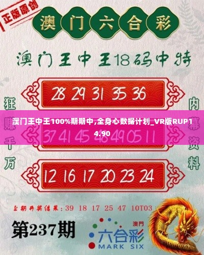 澳门王中王100%期期中,全身心数据计划_VR版RUP14.90