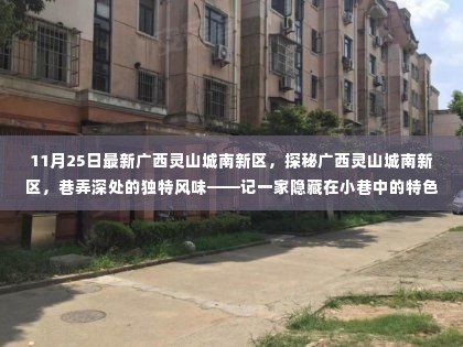 探秘广西灵山城南新区,巷弄深处的特色小店独特风味揭秘