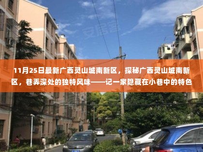 探秘广西灵山城南新区,巷弄深处的特色小店独特风味揭秘