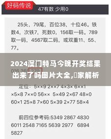 2024澳门特马今晚开奖结果出来了吗图片大全,專家解析意見_运动版TFU14.43
