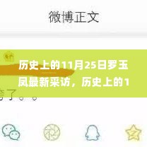 历史上的11月25日罗玉凤最新采访,公众焦点与争议热议的话题女王