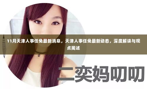 天津人事任免最新动态及深度解读,十一月最新消息与观点阐述