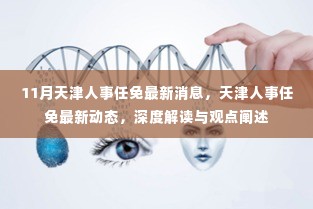 天津人事任免最新动态及深度解读,十一月最新消息与观点阐述
