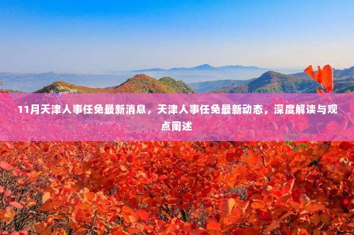 天津人事任免最新动态及深度解读,十一月最新消息与观点阐述