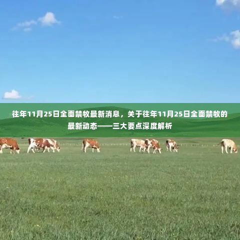 往年11月25日全面禁牧最新动态,深度解析三大要点