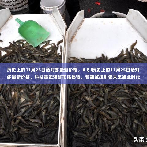 历史上的11月25日活对虾最新价格揭秘,科技引领海鲜市场革新与智能监控开启未来渔业新纪元