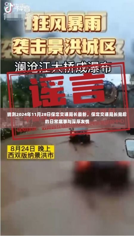 保定交通局长背后的日常趣事与深厚友情揭秘,最新动态预测至2024年11月28日