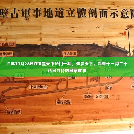 温馨十一月二十八日特别日常故事,信赢天下的一期精彩回顾