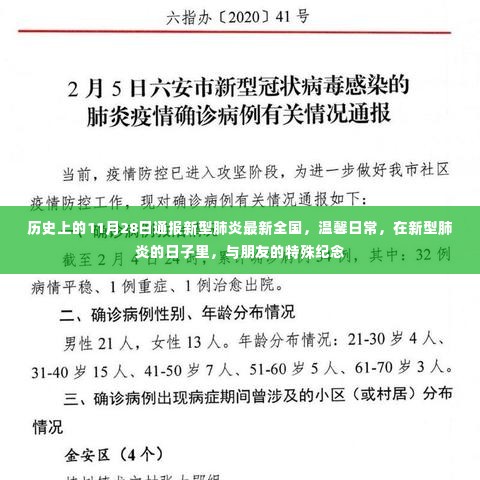 11月28日新型肺炎最新全国通报与特殊纪念日的温馨日常