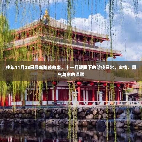 十一月暖阳下的防疫日常,友情、勇气与家的温馨故事