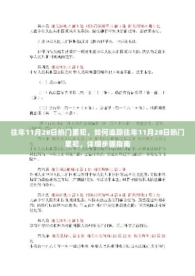 往年11月28日热门累犯追踪指南,详细步骤解析与追踪策略
