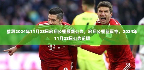 宏翔公棚新篇章揭晓,2024年11月28日最新公告前瞻
