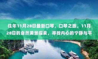 探索口琴之旅,与自然美景相遇,寻找内心的宁静与平和在11月28日启航