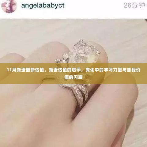 新蛋估值揭秘，学习力量与自我价值的闪耀，启示变化中的未来之路