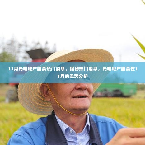 揭秘热门消息背后的光明地产股票走势分析,11月市场洞察
